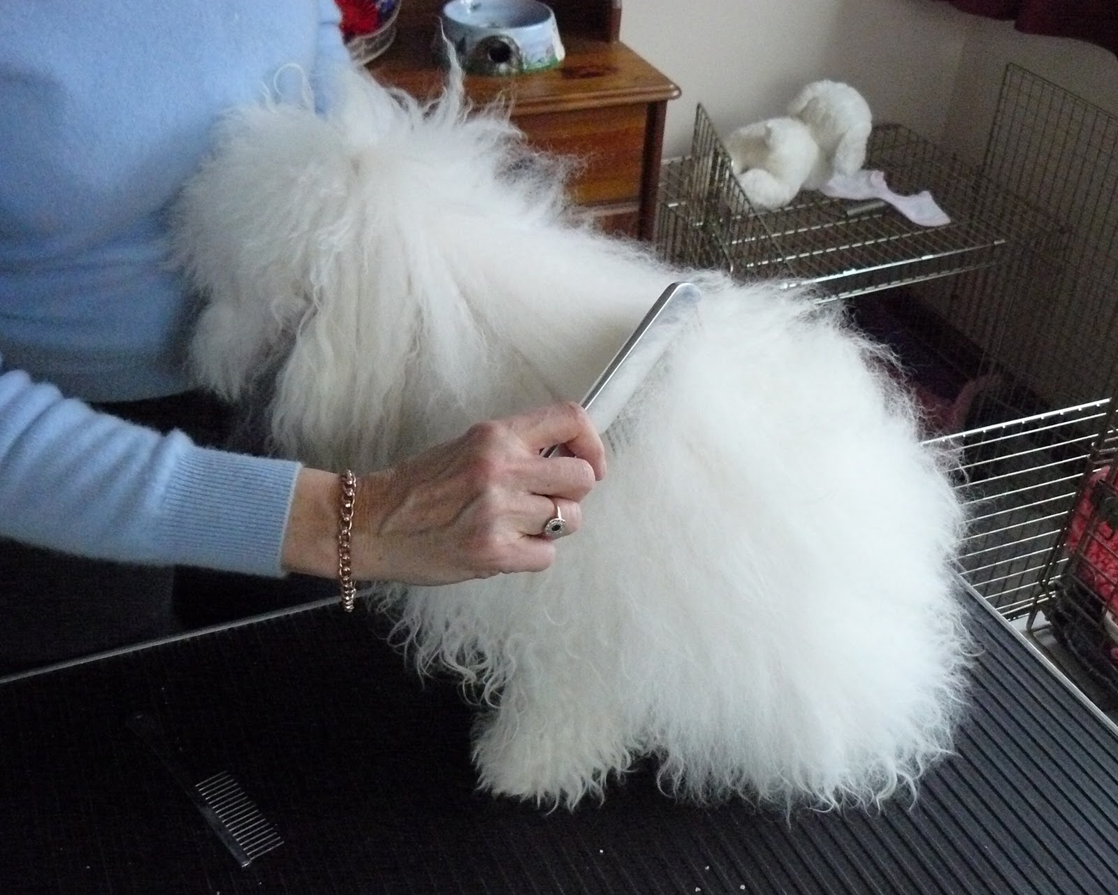 Professional Dog Grooming Shampoo MD10 Collection Champu para Perros