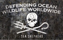 Sea Shepherd