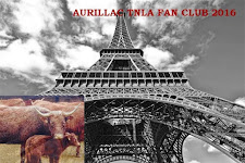 Le fan club en photos :cliquez sur la photo et  RV à la Tour Eiffel!