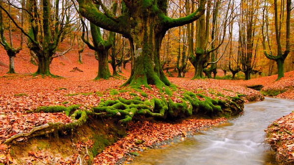 Amazing Pictures of Beautiful Scenery