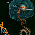 Perbedaan DNA mitokondria dan DNA inti thumbnail