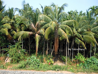 Kerala local train ride views, South India