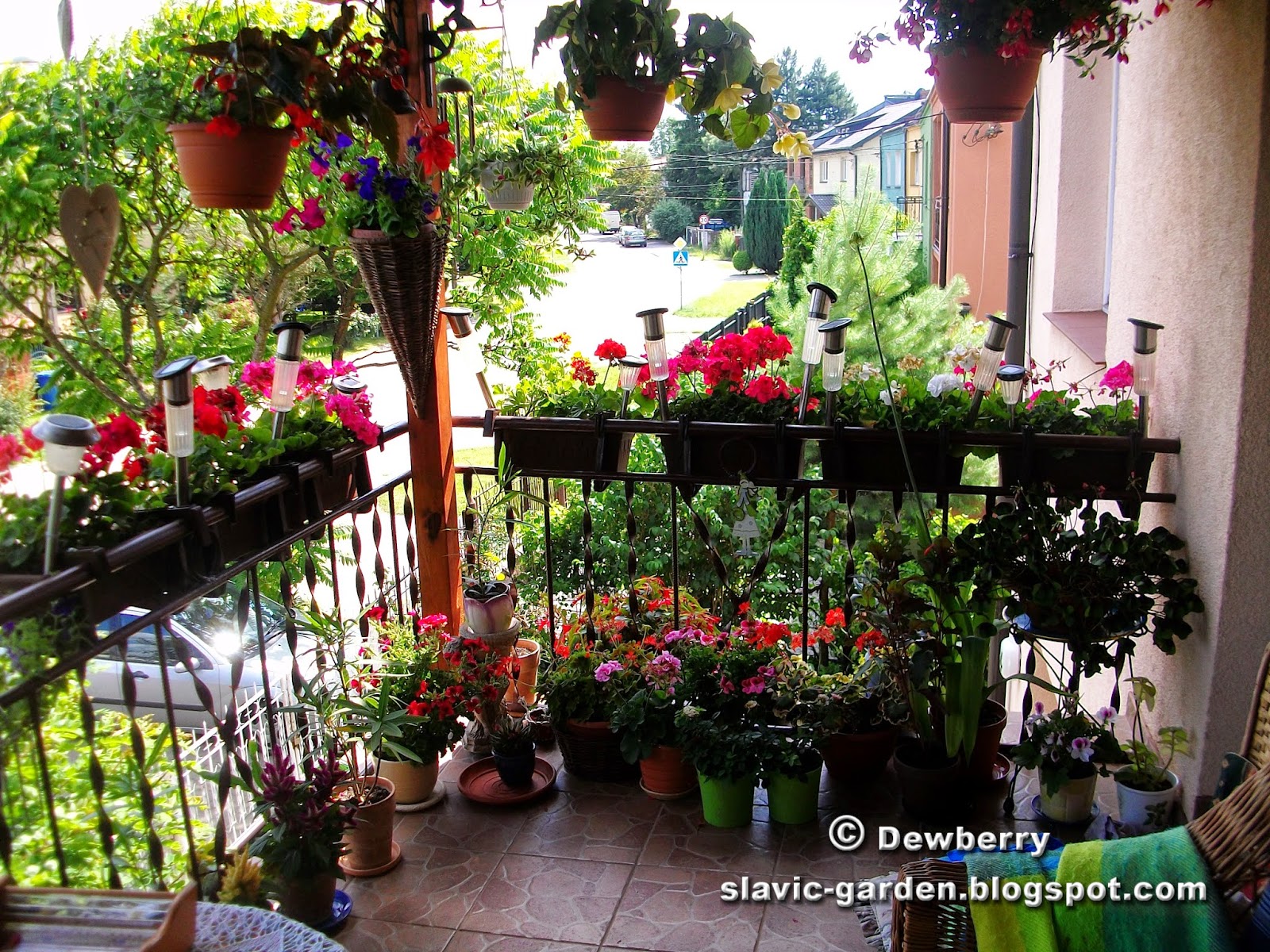 Apartment balcony garden: apartment balcony vegetable garden ...