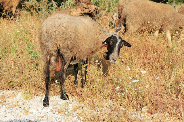 Lefkada