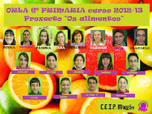 6º PRIMARIA 2013