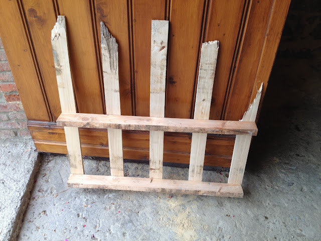 EL NIDO DEL XUAN: CONSTRUCCIÓN DE COMEDERO DE AVES