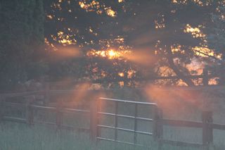 misty sunrise photo of misty sunrise