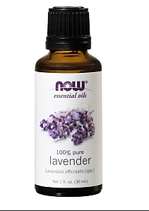 Can You Put Lavender Oil On Dogs Can You Put Lavender Oil On Dogs