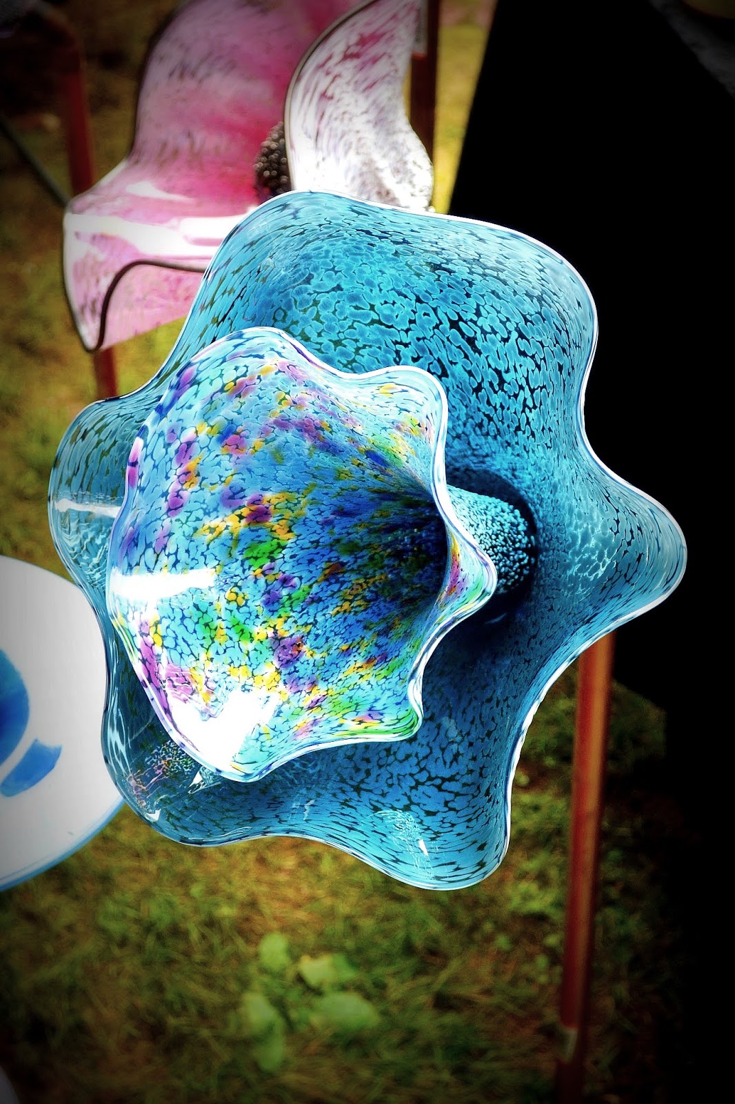 The Outlaw Gardener Frolicing at Fancy Fronds Nursery