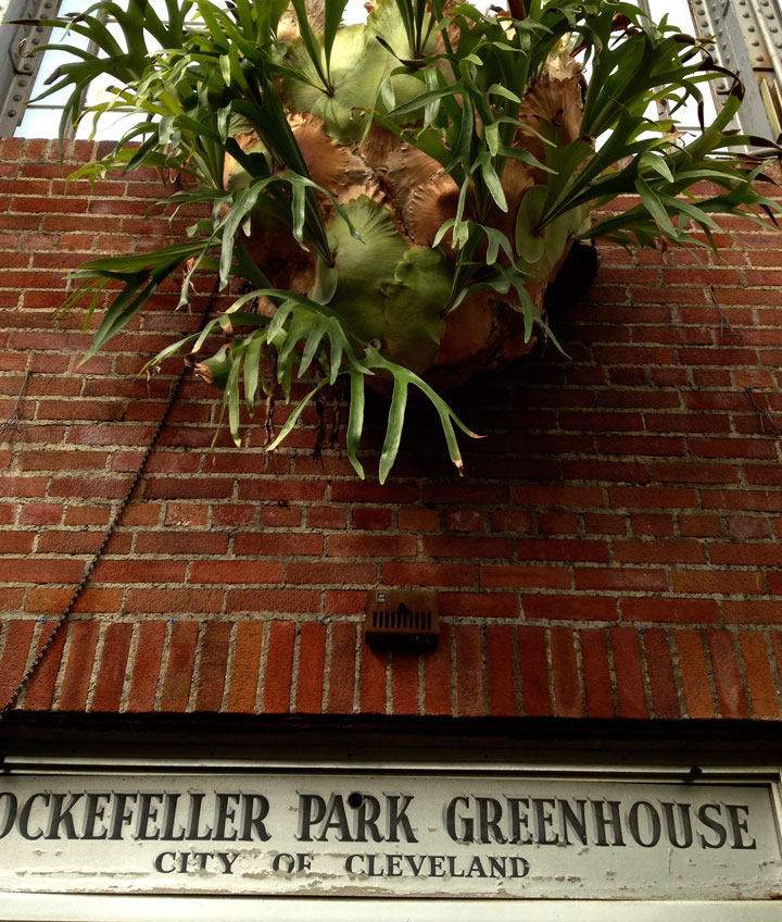 Christine Mauersberger September 2012