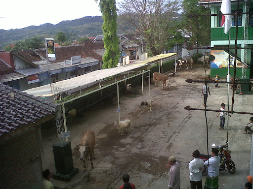 Qurban Yamsik - Happy Eid Al-Adha 1432 H