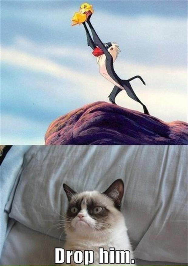 Grumpy Cat Meme | Funny Collection World