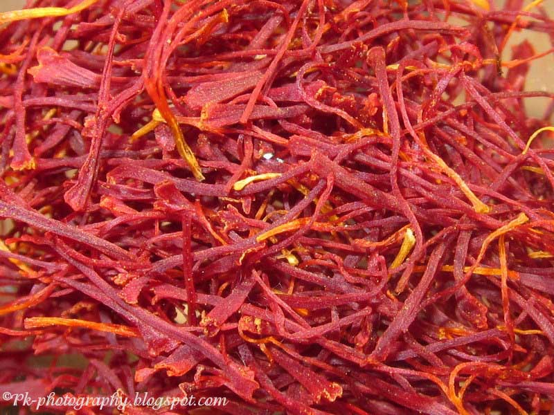 SaffronCrocus sativus Nature, Cultural, and Travel Photography Blog