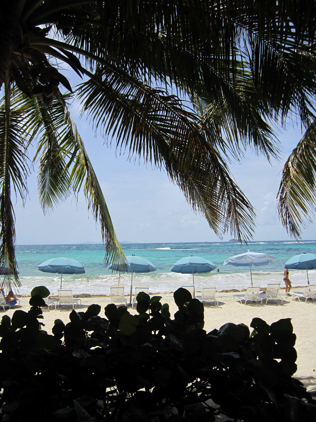 At the Lamppost St. Maarten Making Friends on Happy Harold's Island Tour