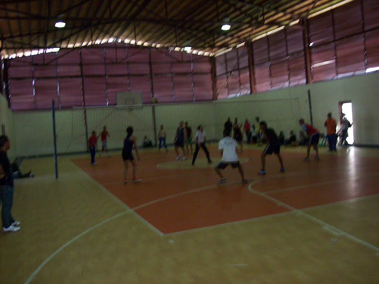 Campeonato de Volibol Mixto: Sub-Campeones