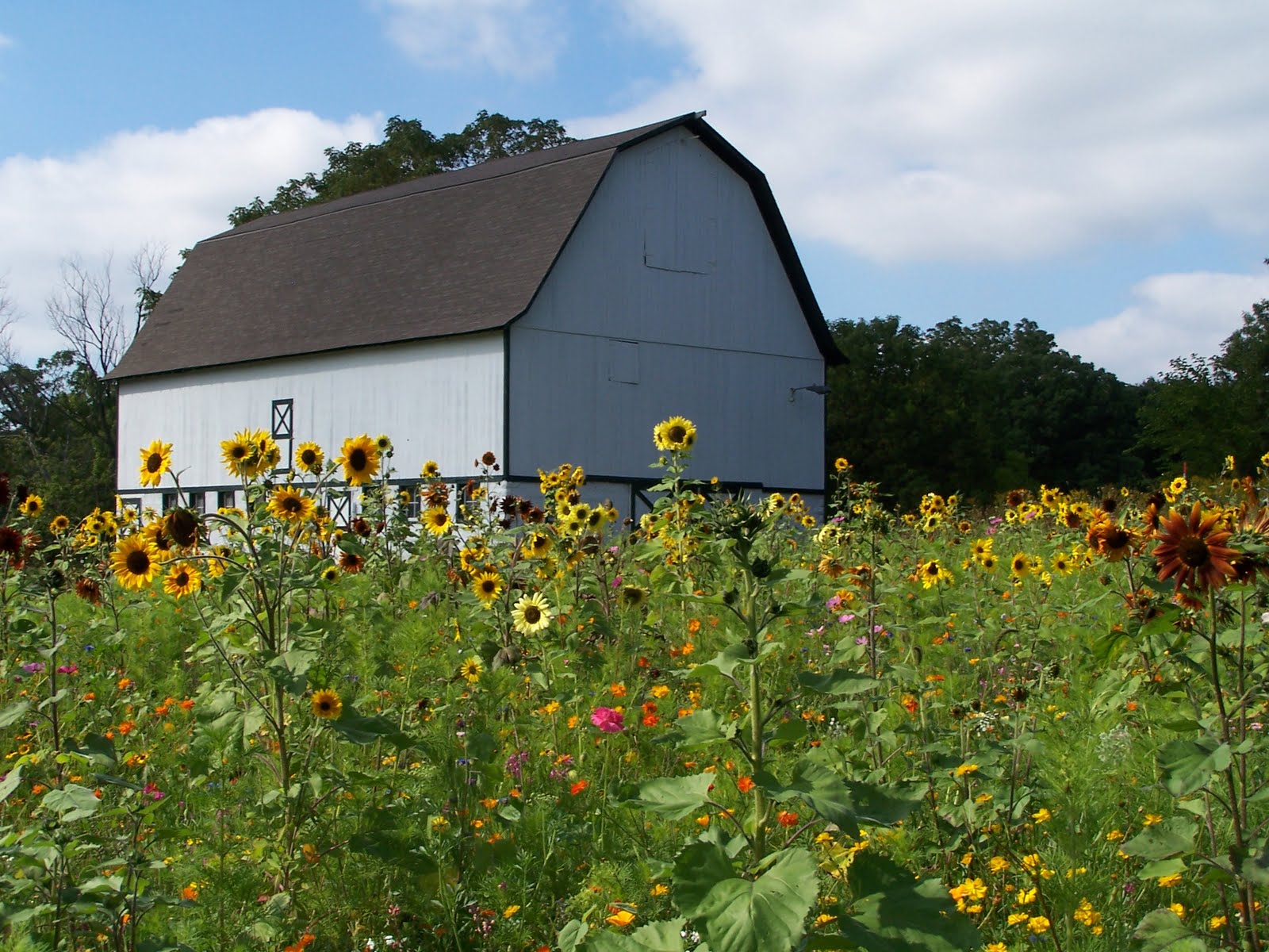 Tempel Farms Organics