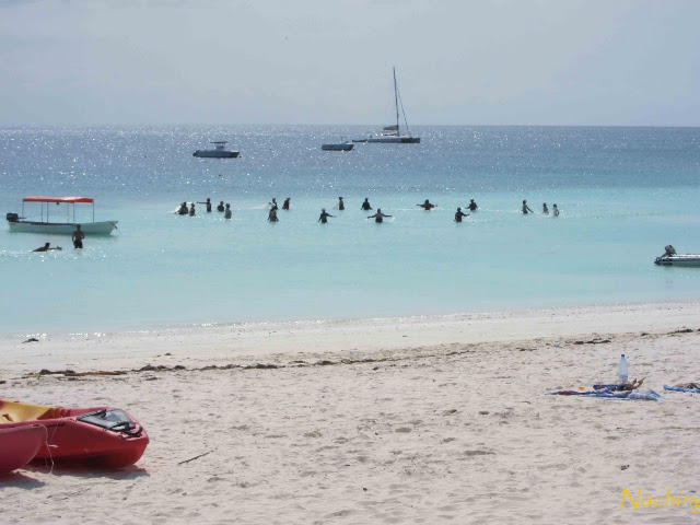 8 de agosto de 2012. Segundo día de buceo en Nungwi y traslado a Stone Town - 15 días de Safari y playa (4)