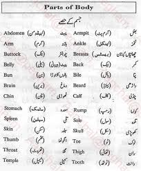 What is the Meaning of human in Urdu - DriverLayer Search Engine