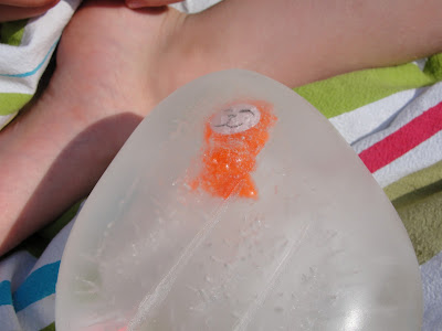 toy in ice ball