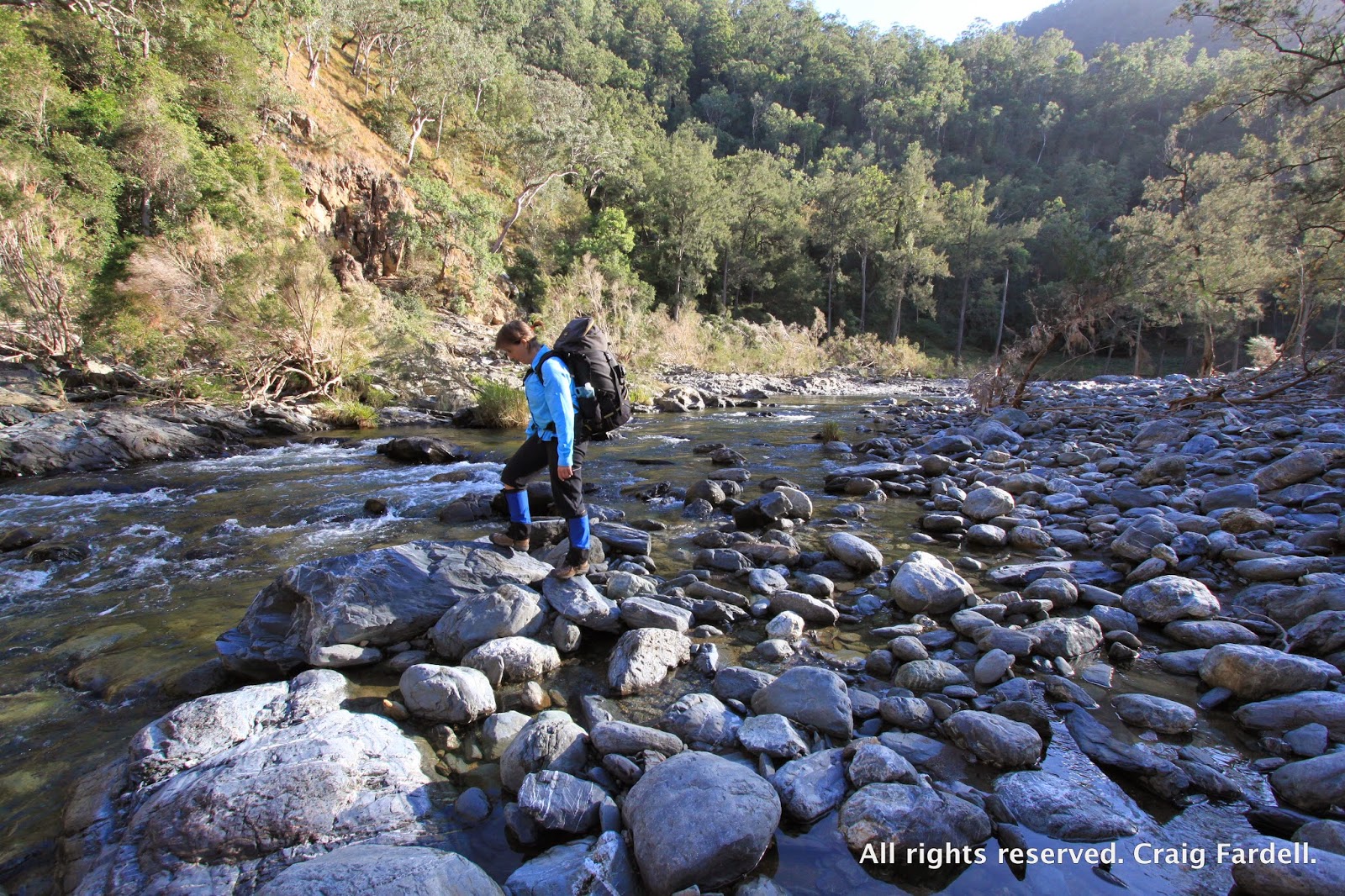 awildland Styx River Oxley Wild Rivers National Park
