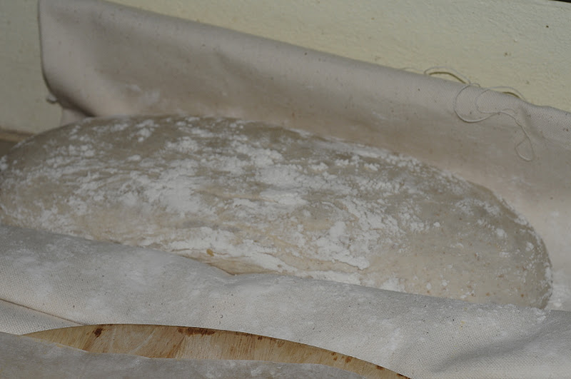 my discovery of Bread How a big lump of bubbly dough an amazing Ciabatta