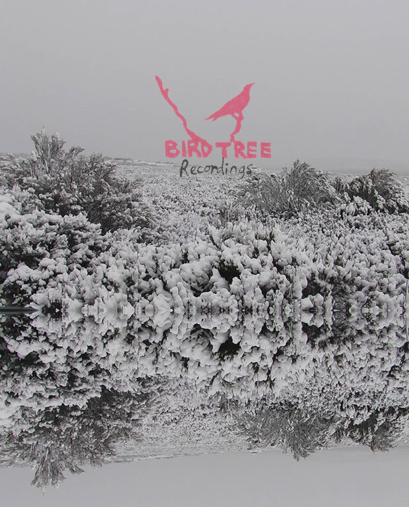 Birdtree Recordings