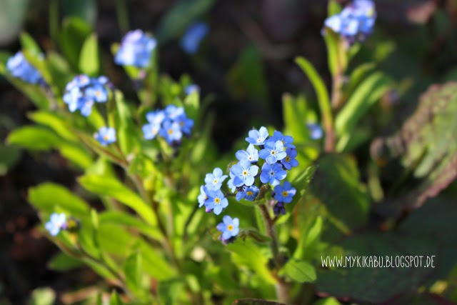 Frohe Ostern Minza Will Sommer