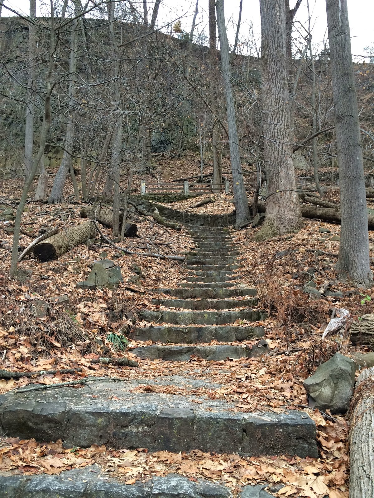 Garret Mountain (NJ)