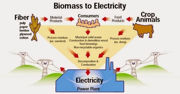 Biomass to Electricity ~ Electrical Engineering Pics autotransformer starter wiring diagram 