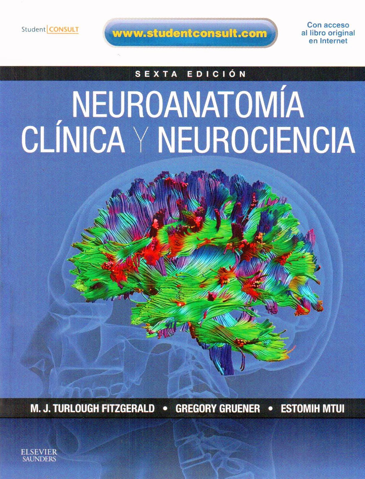 Neuroanatomia Snell 7 Edicion Pdf 27