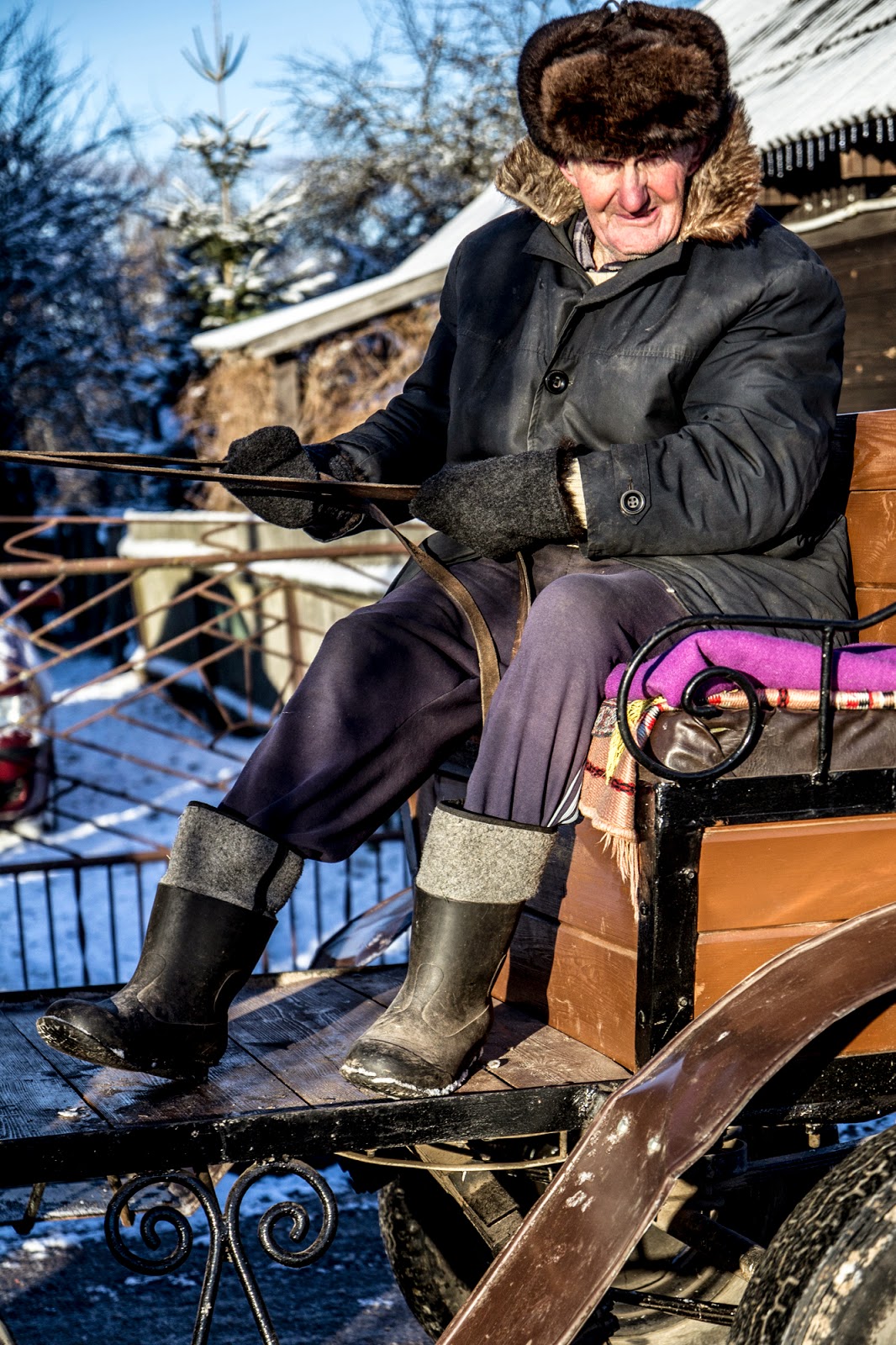 Gwiazdka w Puszczy - Ania w Podróży