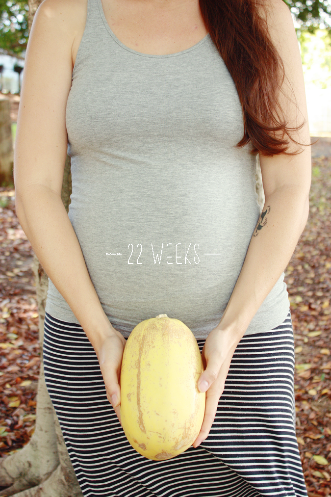 Sweet Lavender Bake Shoppe Baby Update 22 Weeks