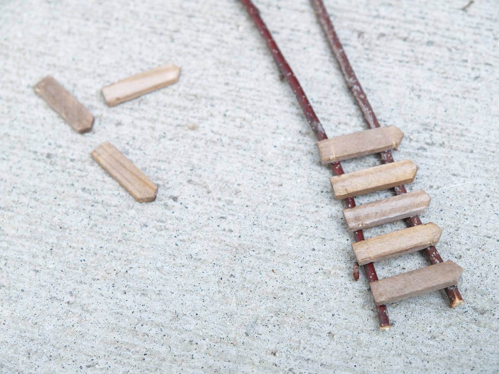 Do Your Fairies Need A Ladder? Fairy Garden 2012 The Magic Onions