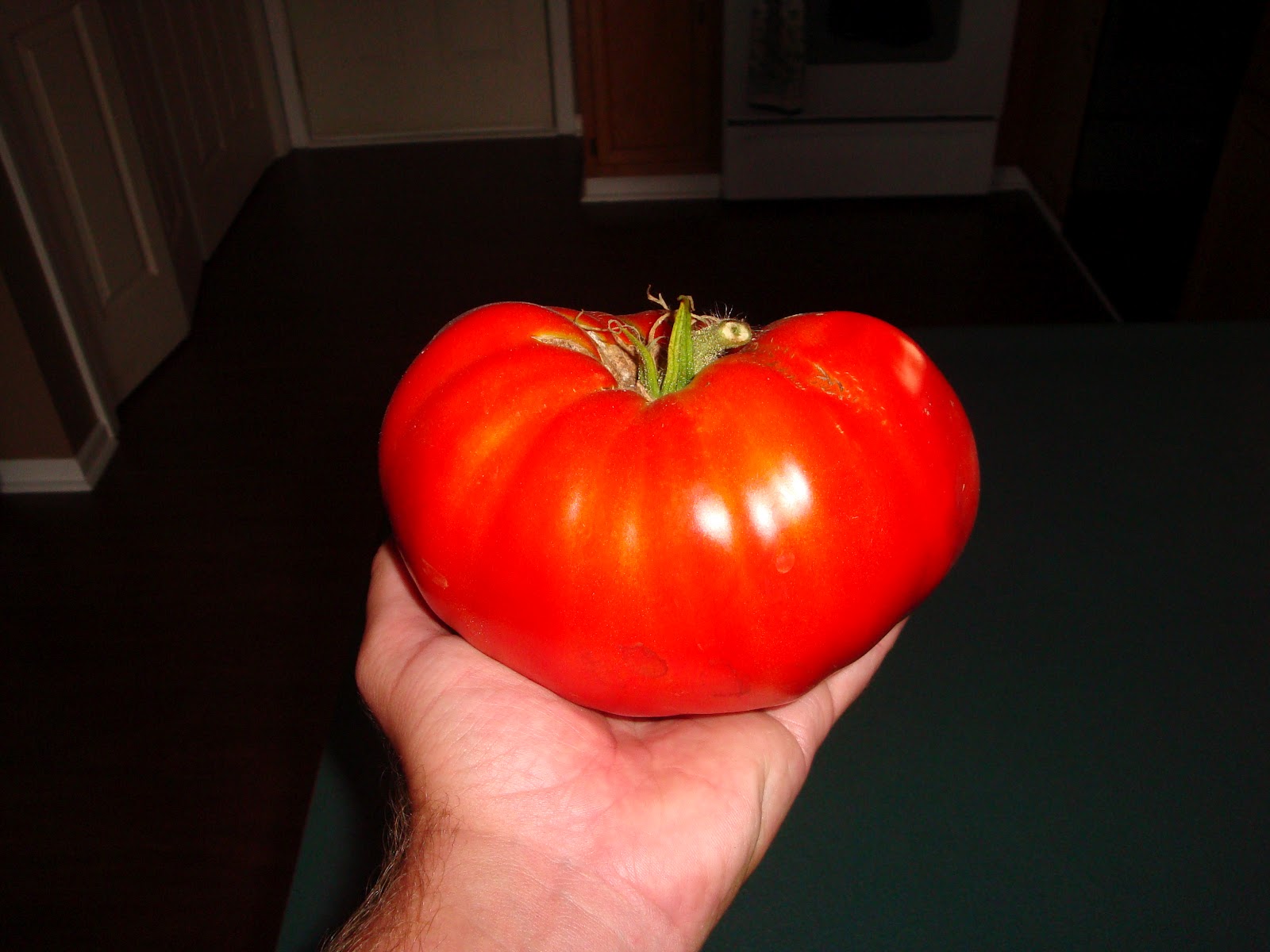The Tightwad Gardener Beefsteak Tomato