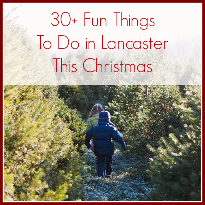 Sight & sound theater, lancaster pa if u c this u must go c noah its 30+ Fun Things to Do in Lancaster PA This Christmas - Pine Street Days