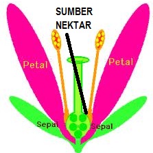 anim agro technology nektar anim agro technology nektar
