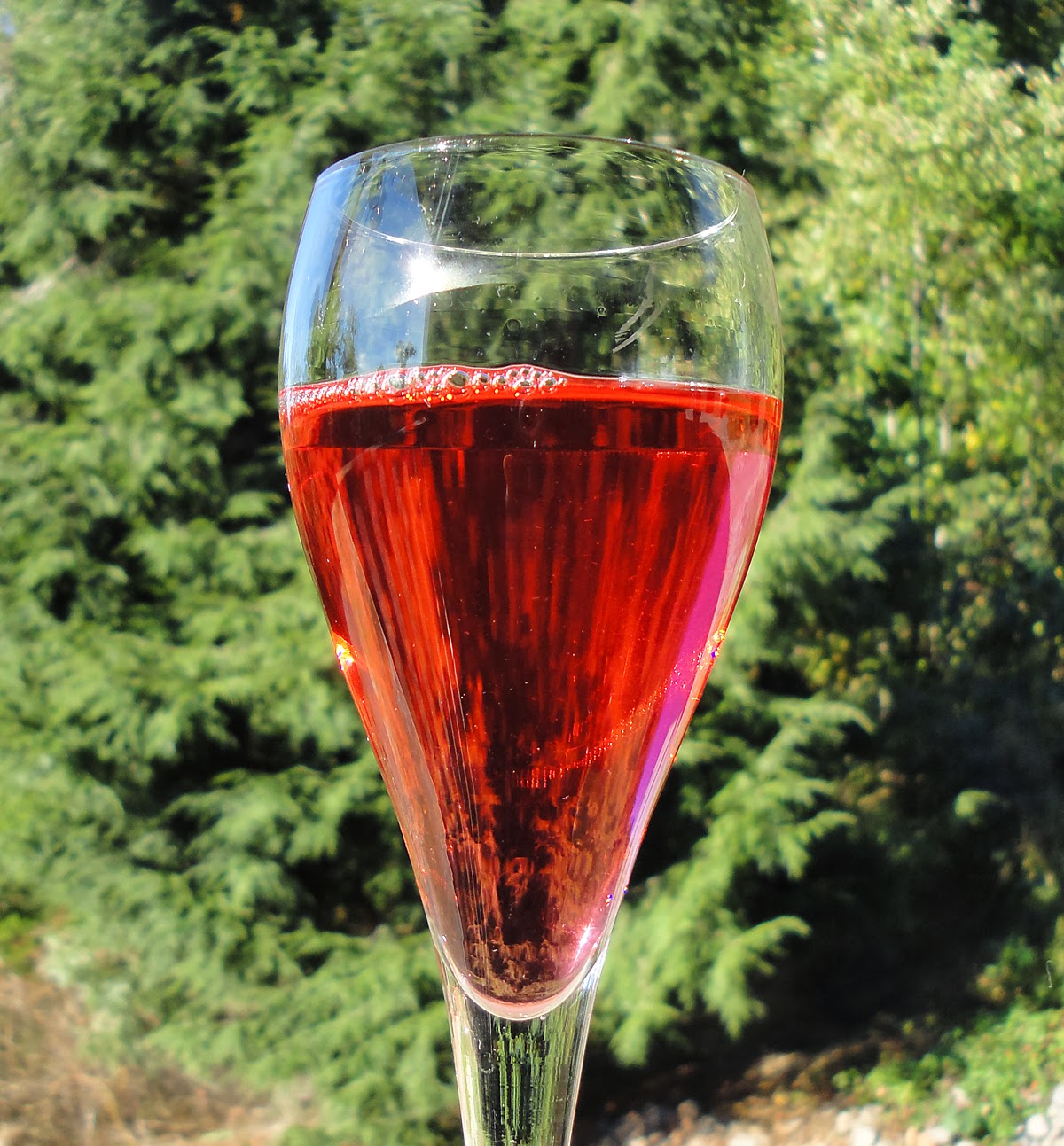 Judy's Good Food Blog Grow a Zinger of a Plant