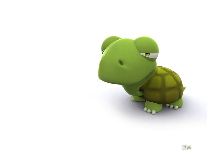 Funny turtle wallpaper desktop |Funny Animal