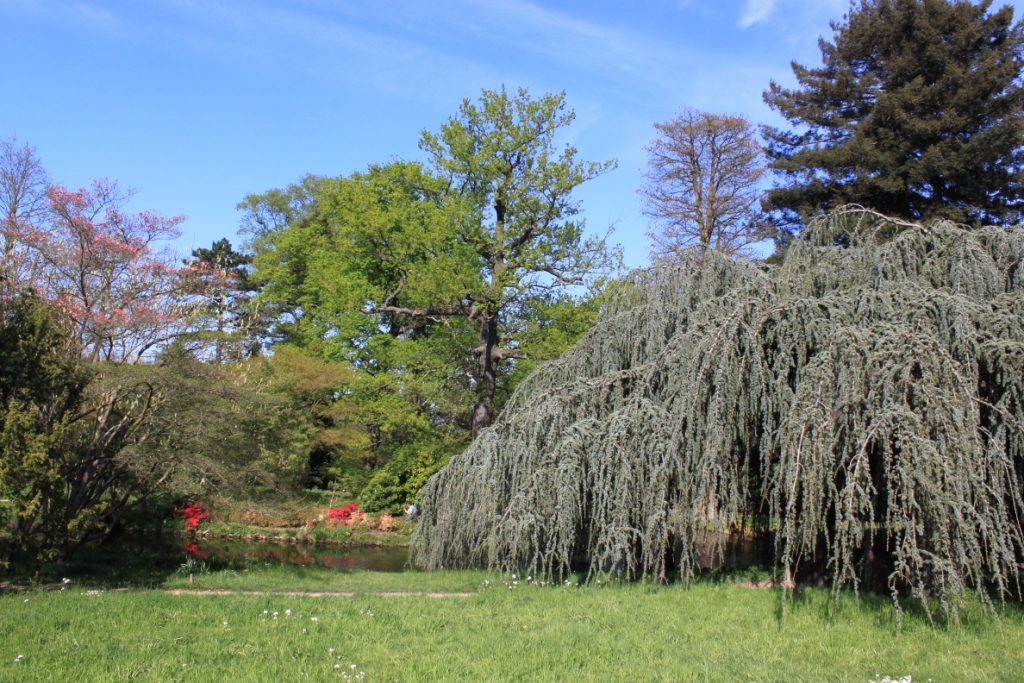 Arboretum de la Vallée aux Loups