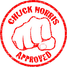 CHUCK NORRIS APPROVED