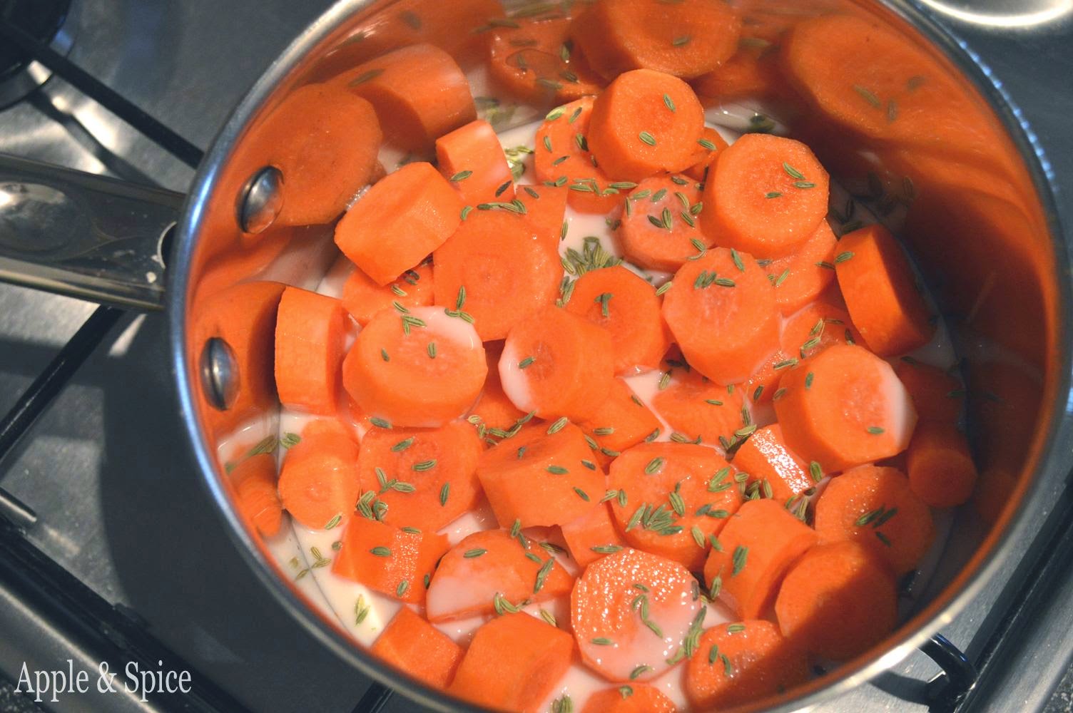 Apple & Spice Carrot & Fennel Seed Mash