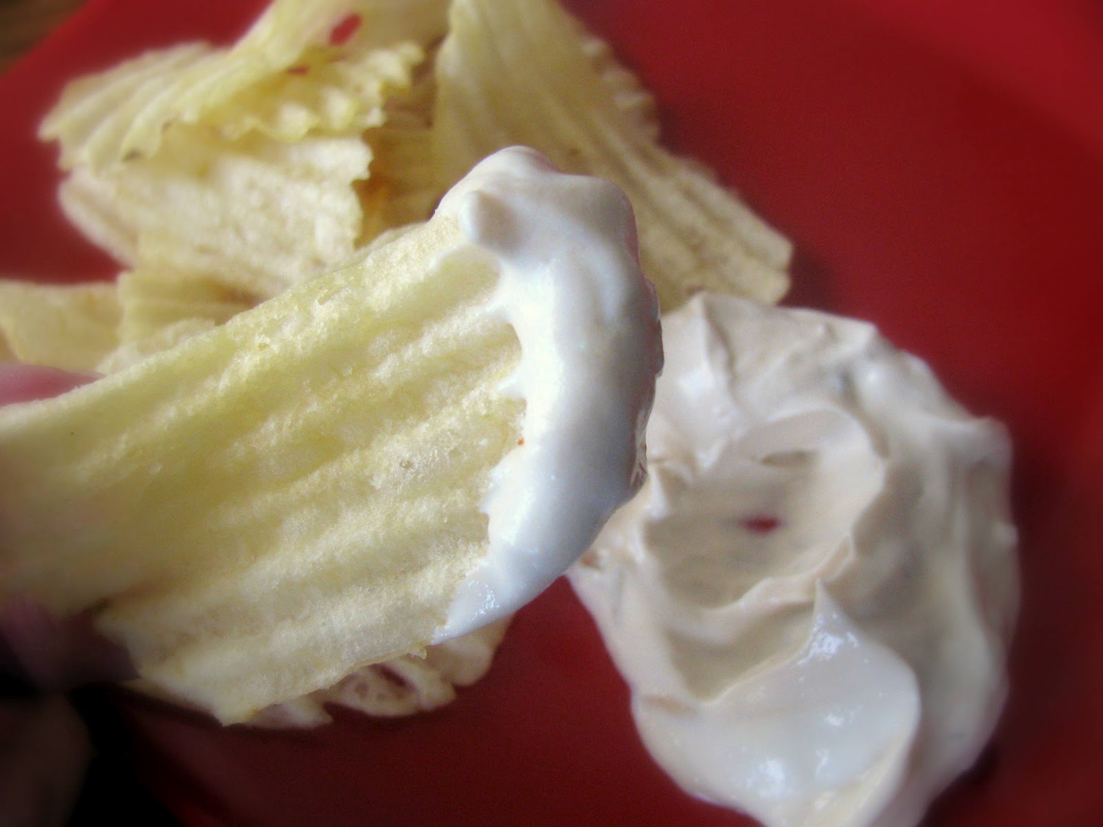 Onion Chip Dip {& Onion Soup Mix substitution}