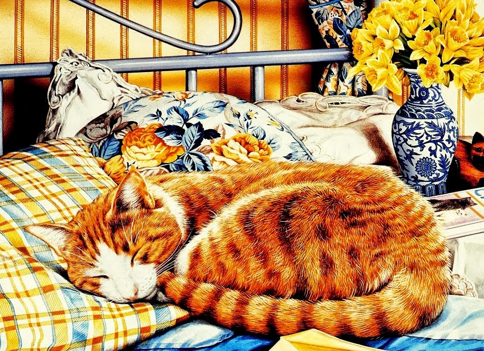 Evycraft Kedi Temali Dekupaj Resimleri