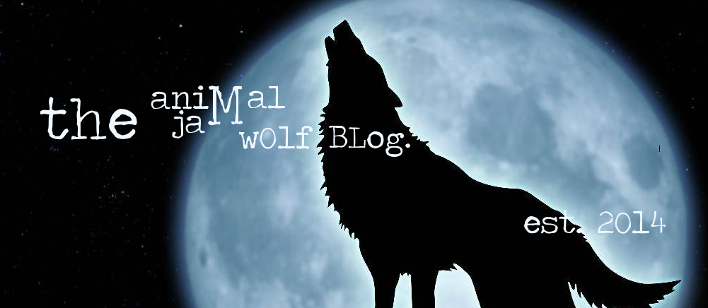  Animal Jam Wolf Blog