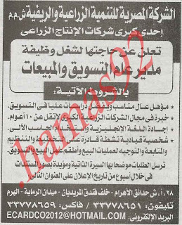 وظائف خالية من الصحف المصرية الخميس 3/1/2013 %25D8%25A7%25D9%2584%25D8%25A7%25D9%2587%25D8%25B1%25D8%25A7%25D9%2585+3