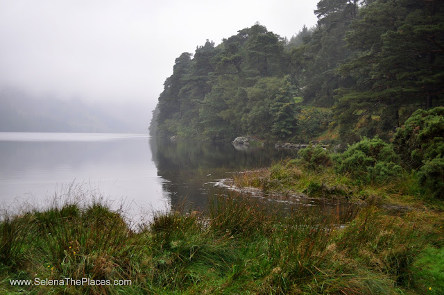 Wild Wicklow Tour in Dublin