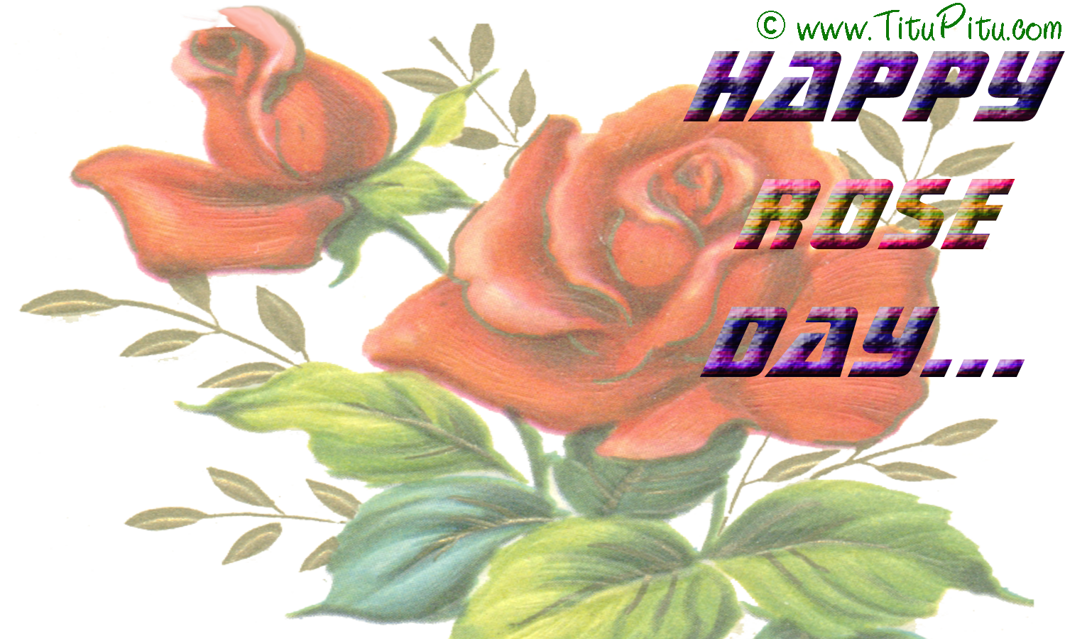 Valentines day special Rose day wallpaper | Haryanvi makhol | Jokes in Hindi | Hindi jokes