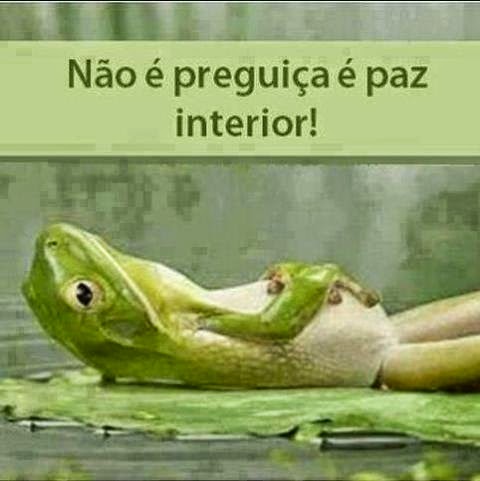 A Perereca da Vizinha: Perereca bate recorde de acessos no Facebook