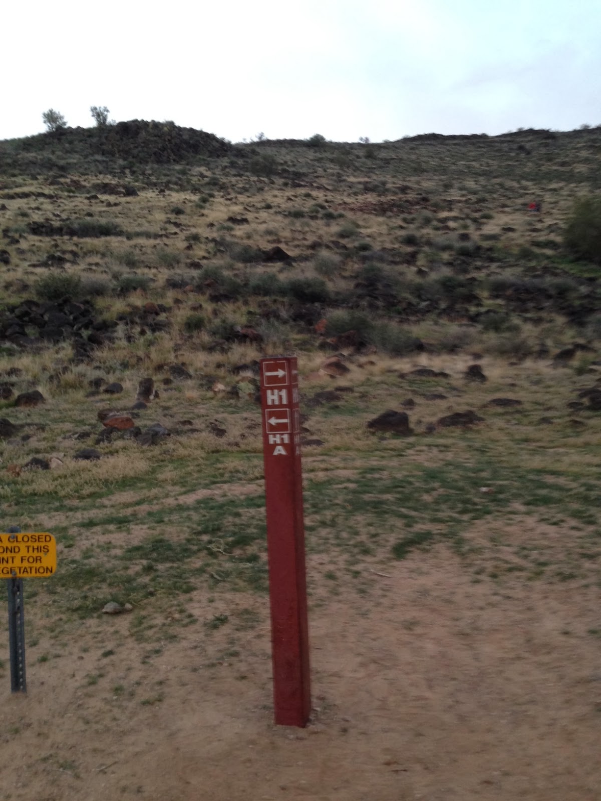 50 Hikes in my 50th Year Hike 10 Thunderbird Park Glendale AZ