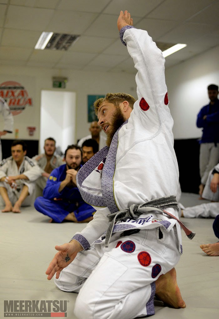 Mike Fowler and the Unstoppable Sweep plus other stories Meerkatsu's Blog